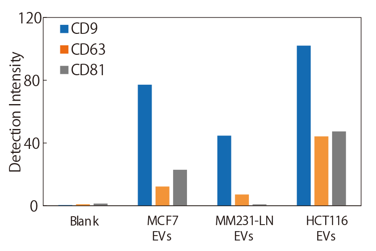 Evaluation of cancer cell-derived exosomes②
