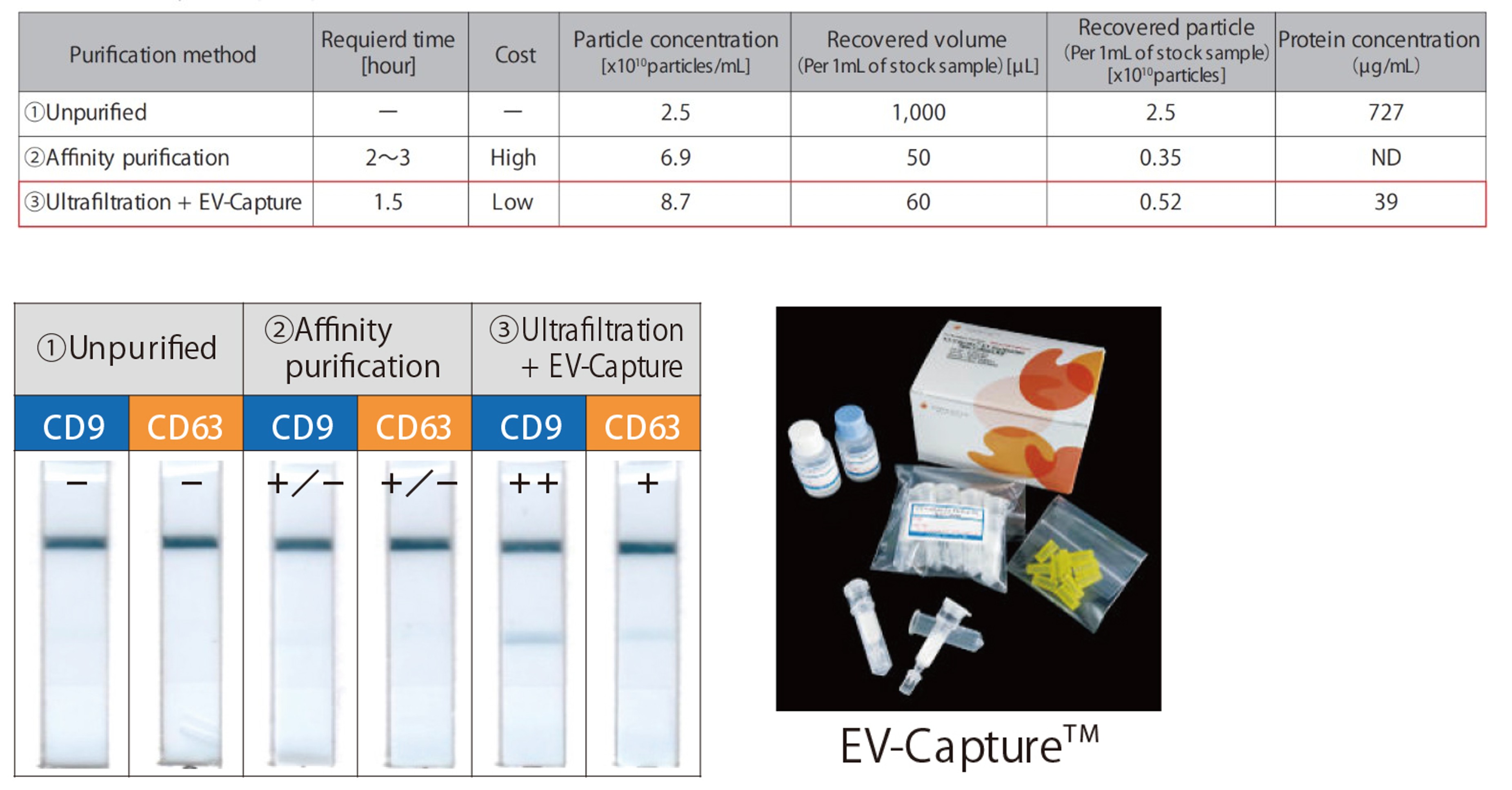 Evaluation of MSC