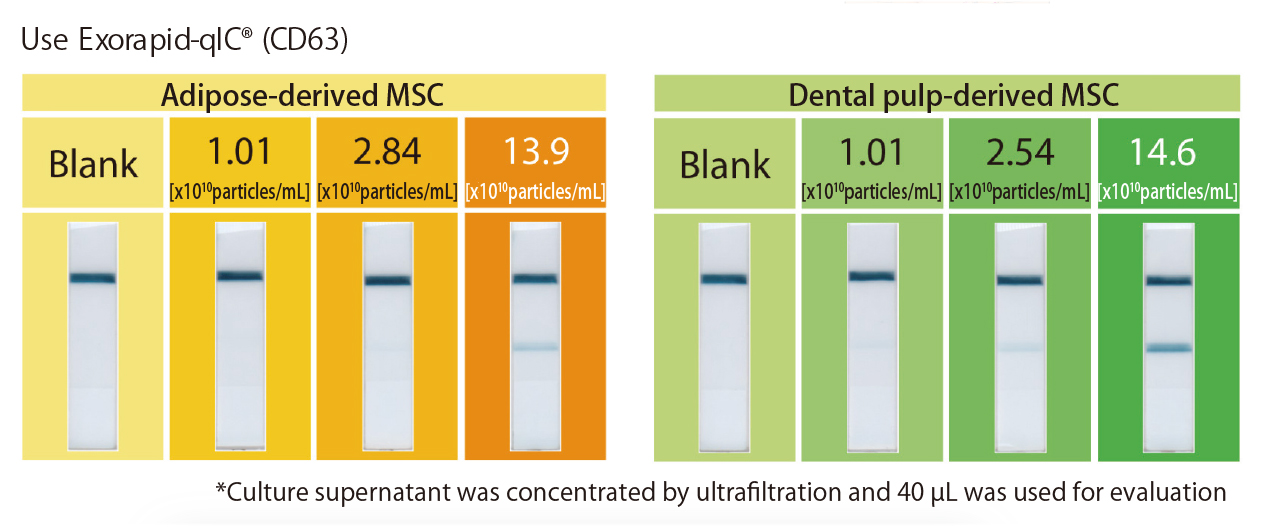 Evaluation of MSC