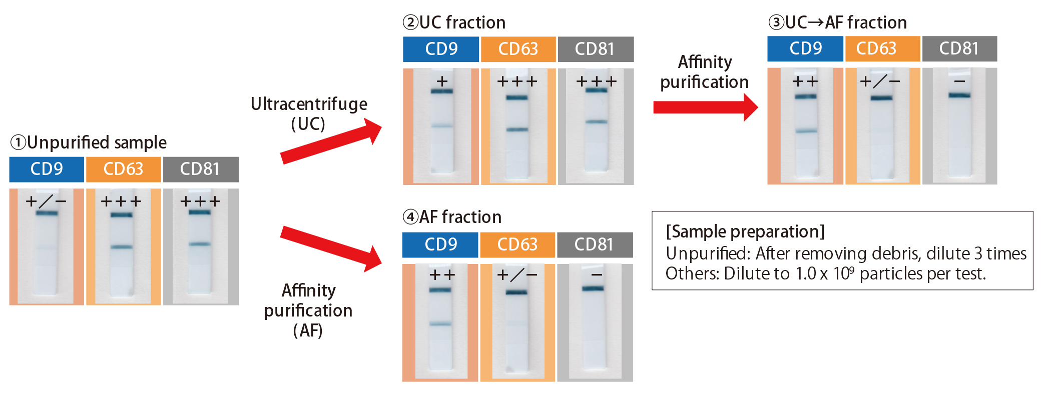 Evaluation of serum