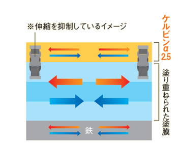 ケルビンα2.5により塗膜伸縮を抑制