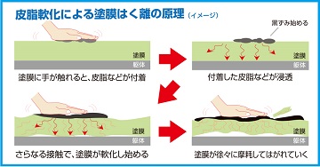 皮脂軟化の塗膜剥離の原理