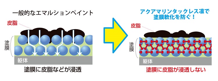 対皮脂軟化メカニズム