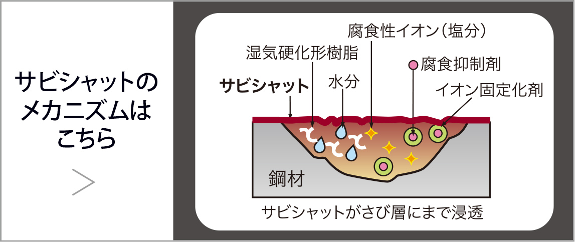 サビシャットのメカニズム