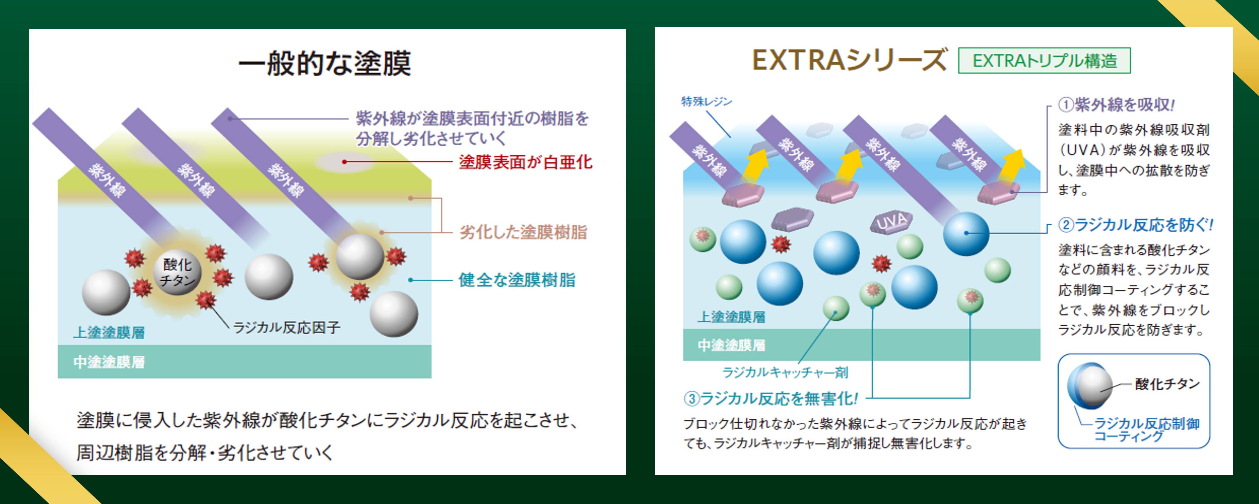 一般的な塗膜とEXTRAシリーズの塗膜