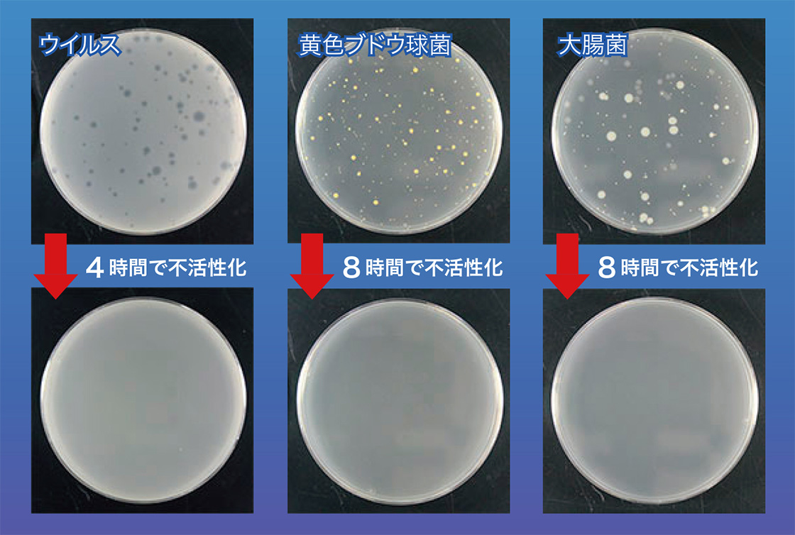 抗菌・抗ウィルス塗料「COZY PACK Air」の試験結果