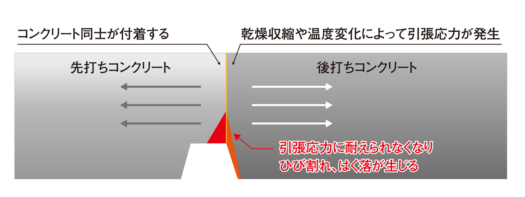 news241001b-il02.jpg