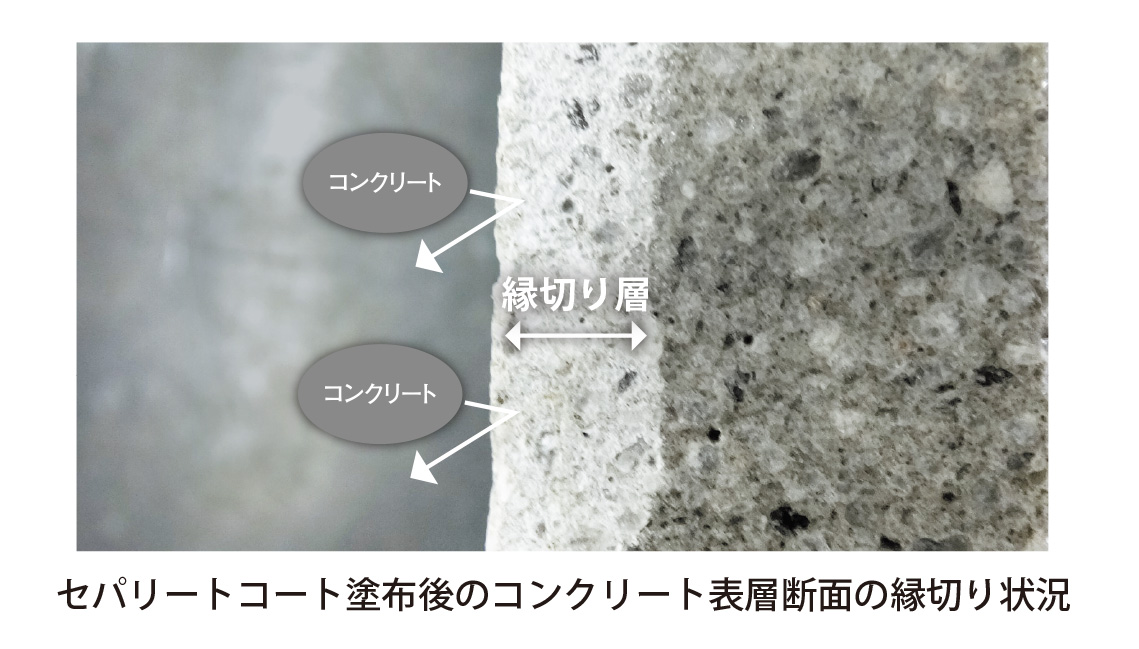 news241001b-ph01.jpg