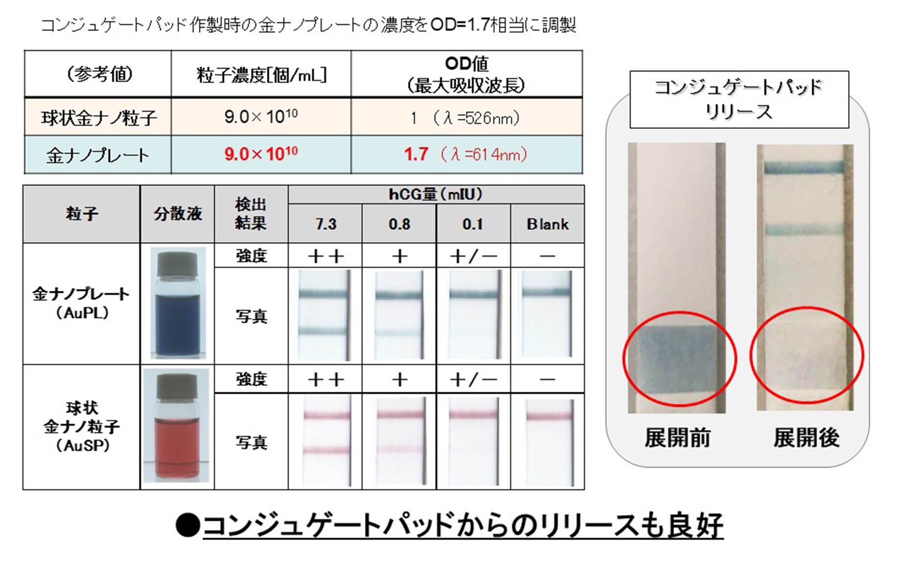 hCG(ヒト絨毛性ゴナドトロピン)を用いたフルストリップ試験結果